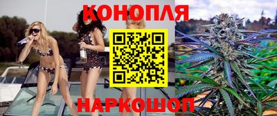 прущая мука Кингисепп