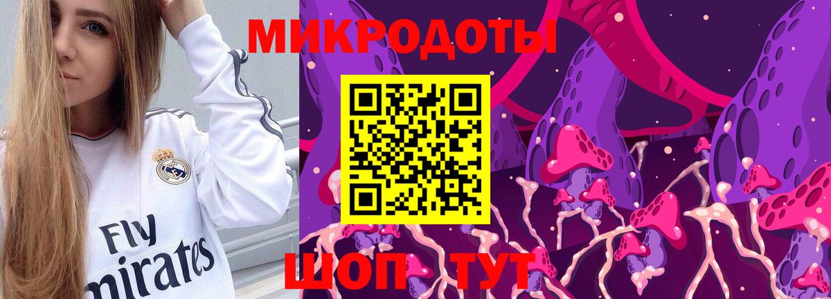 Псилоцибиновые грибы Psilocybine cubensis Чапаевск