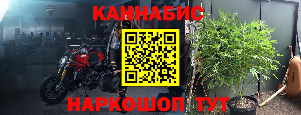 Каннабис планчик  Вход с VPN  Чапаевск  Марихуана семена  Бошки Шишки семена 