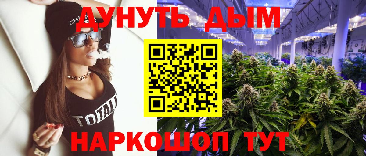 МАРИХУАНА ГИДРОПОН Чапаевск